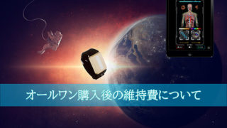 オールワン275購入後の維持費について