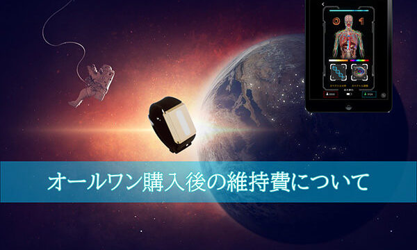 オールワン275購入後の維持費について