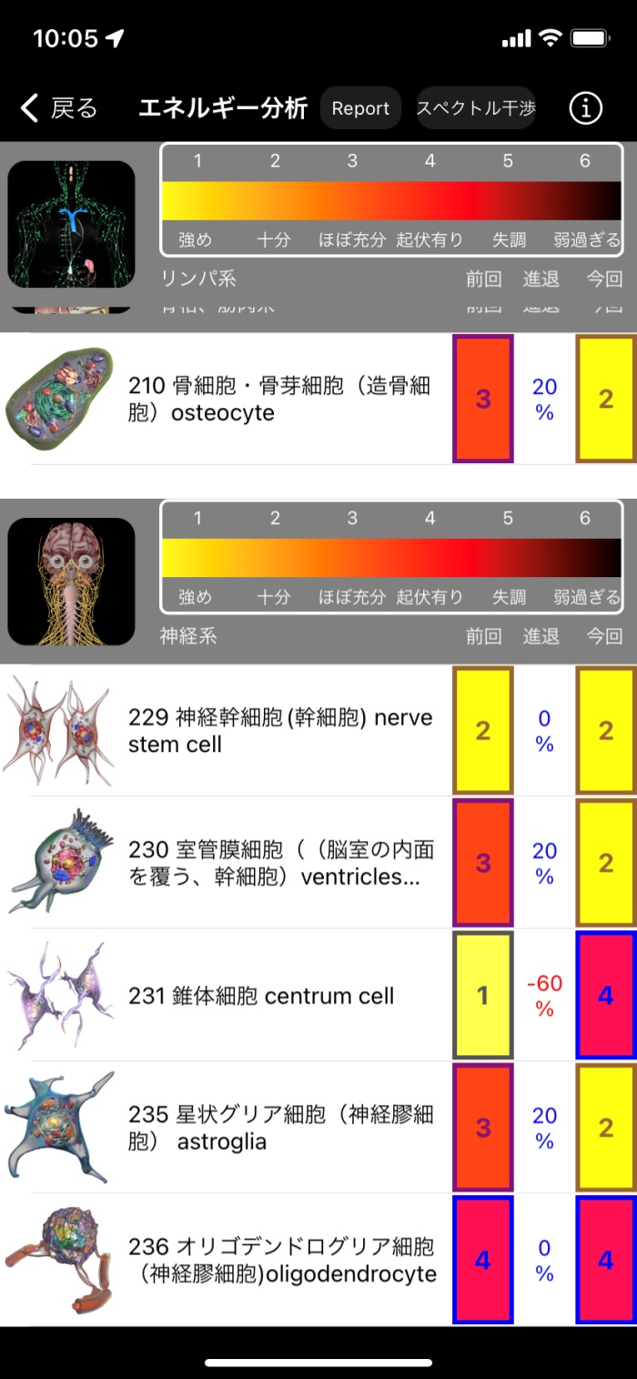 細胞エネルギー分析