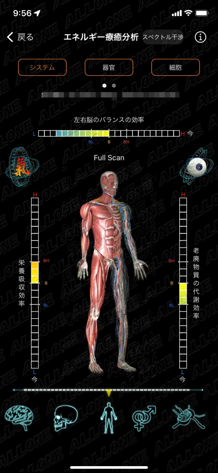 エネルギー療癒分析