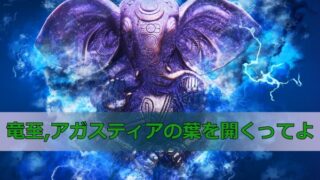 竜至,アガスティアの葉を開くってよ