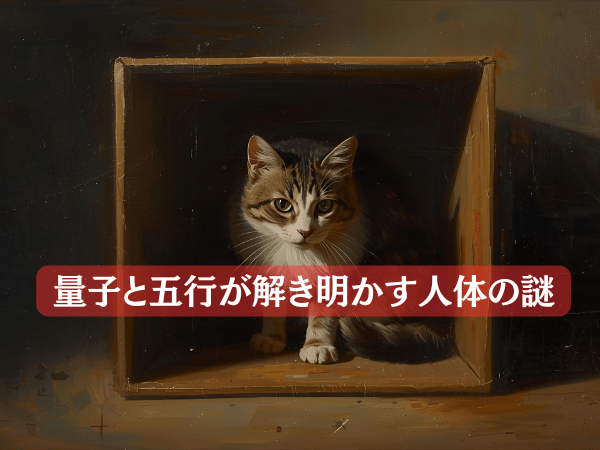 量子と五行が解き明かす人体の謎