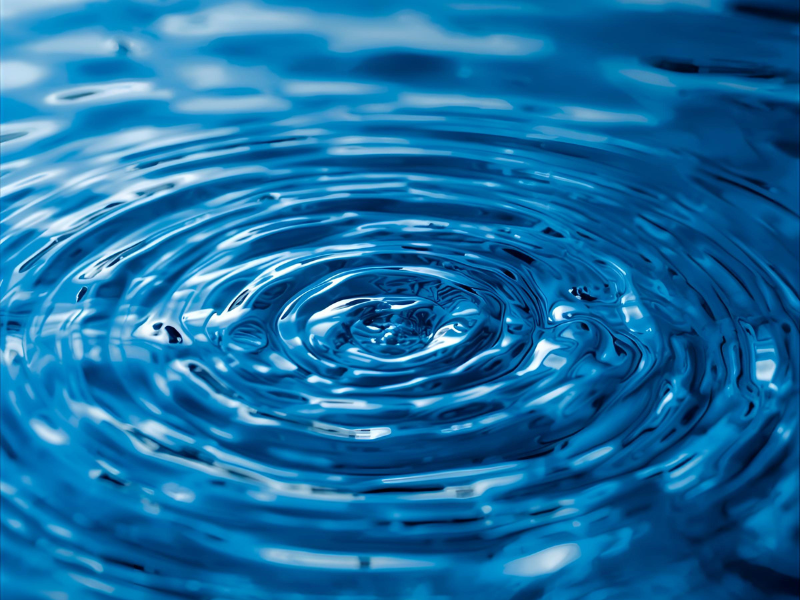 量子波動器とは何か